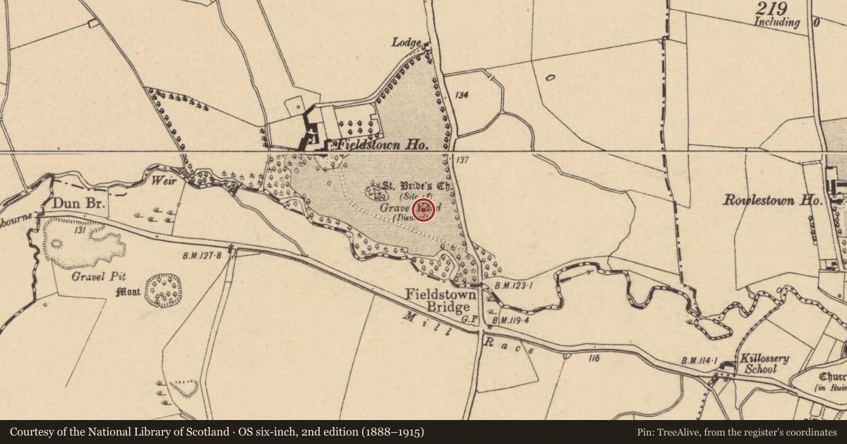 Ordnance Survey six-inch map, 2nd edition (1888–1915) covering the location of Ritual site - holy well, Fieldstown, County Dublin, with a pin at the register's coordinates