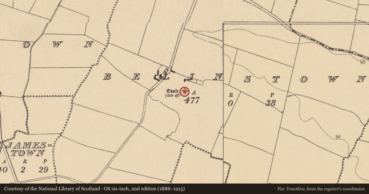 Ordnance Survey six-inch map, 2nd edition (1888–1915) covering the location of Castle - tower house, Belinstown, County Dublin, with a pin at the register's coordinates