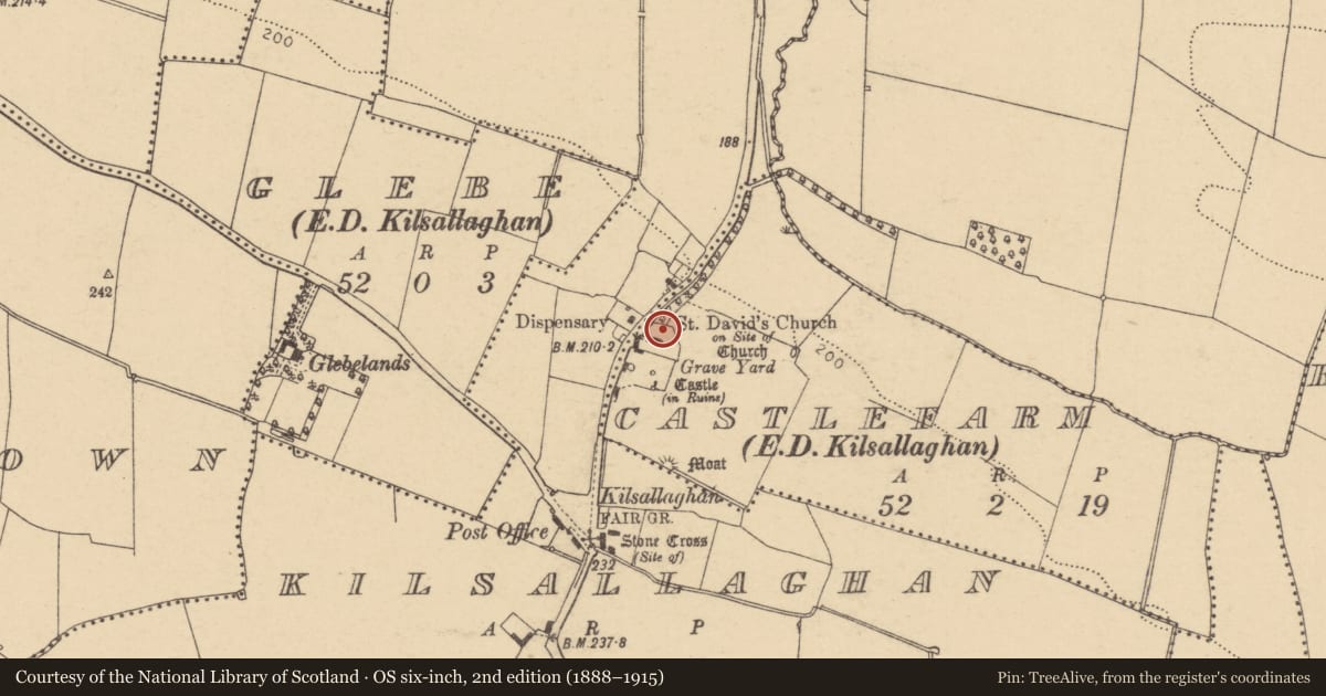 Ordnance Survey six-inch map, 2nd edition (1888–1915) covering the location of Graveyard, Castlefarm, County Dublin, with a pin at the register's coordinates