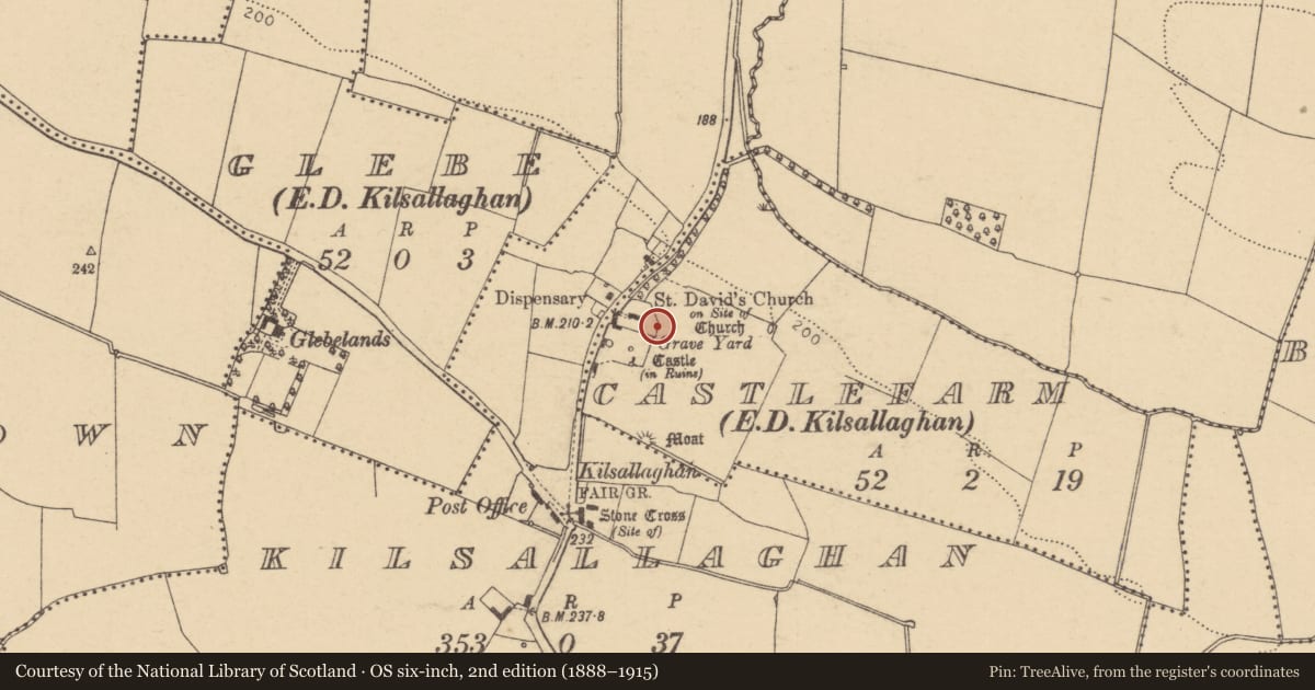 Ordnance Survey six-inch map, 2nd edition (1888–1915) covering the location of Ecclesiastical enclosure, Castlefarm, County Dublin, with a pin at the register's coordinates