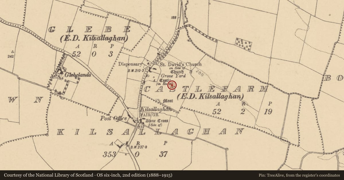Ordnance Survey six-inch map, 2nd edition (1888–1915) covering the location of Field system, Castlefarm, County Dublin, with a pin at the register's coordinates