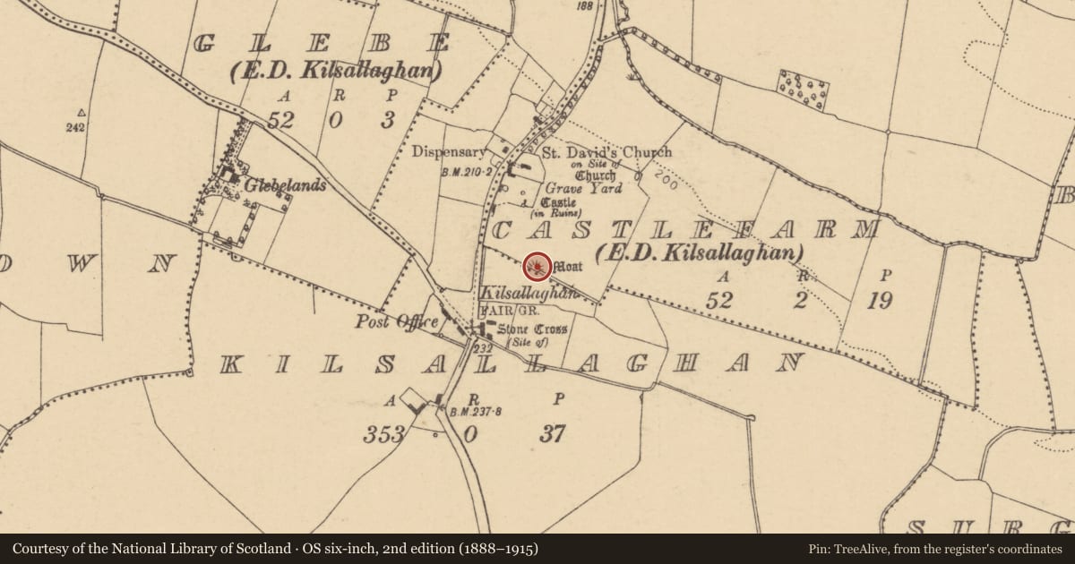 Ordnance Survey six-inch map, 2nd edition (1888–1915) covering the location of Earthwork, Castlefarm, County Dublin, with a pin at the register's coordinates
