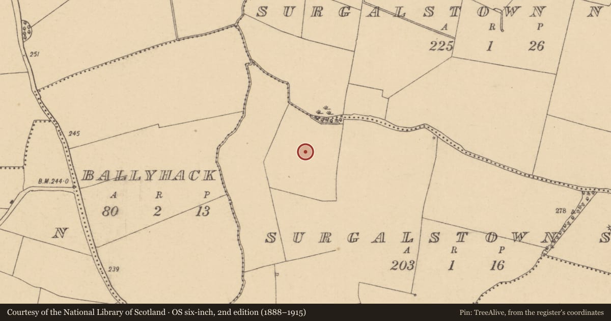 Ordnance Survey six-inch map, 2nd edition (1888–1915) covering the location of House - 16th/17th century, Surgalstown South, County Dublin, with a pin at the register's coordinates