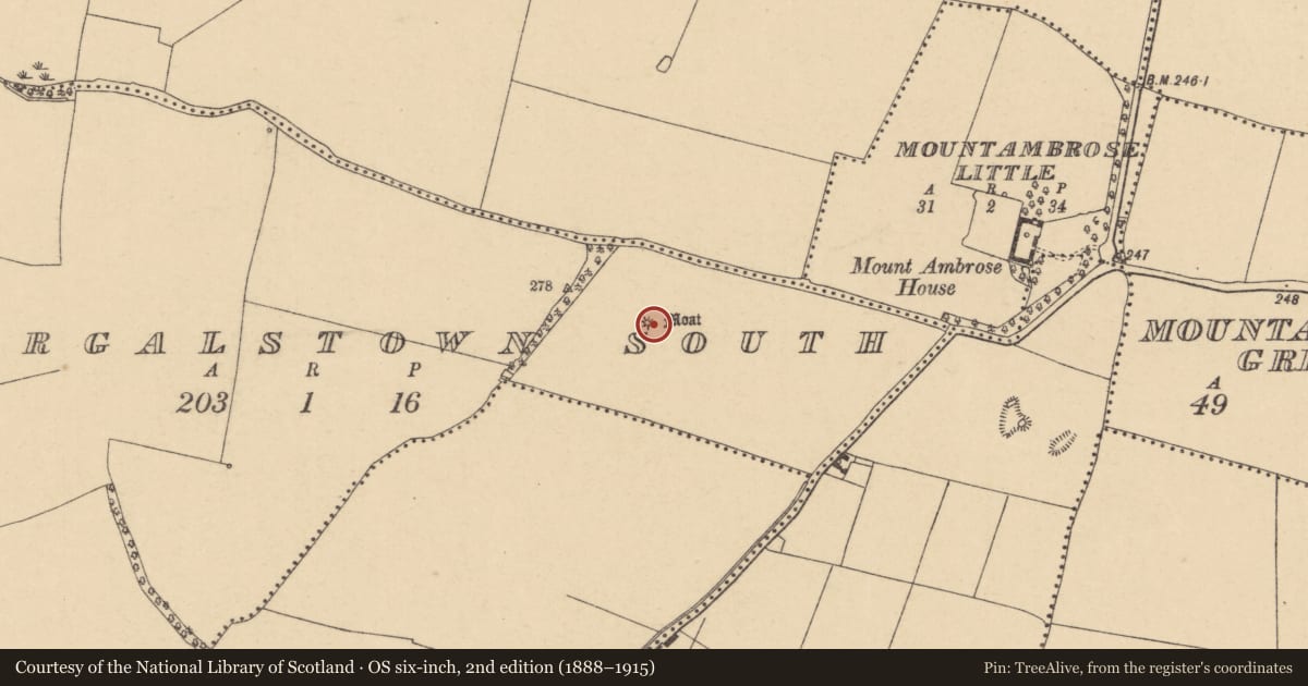 Ordnance Survey six-inch map, 2nd edition (1888–1915) covering the location of Earthwork, Surgalstown South, County Dublin, with a pin at the register's coordinates