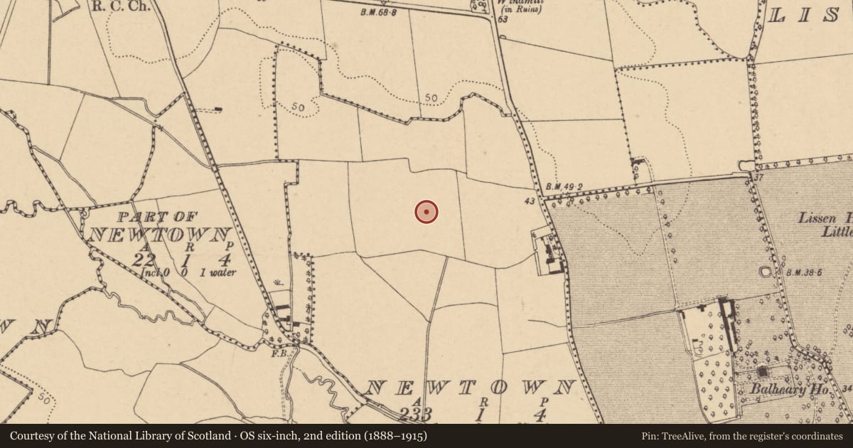 Ordnance Survey six-inch map, 2nd edition (1888–1915) covering the location of Enclosure, Newtown, County Dublin, with a pin at the register's coordinates