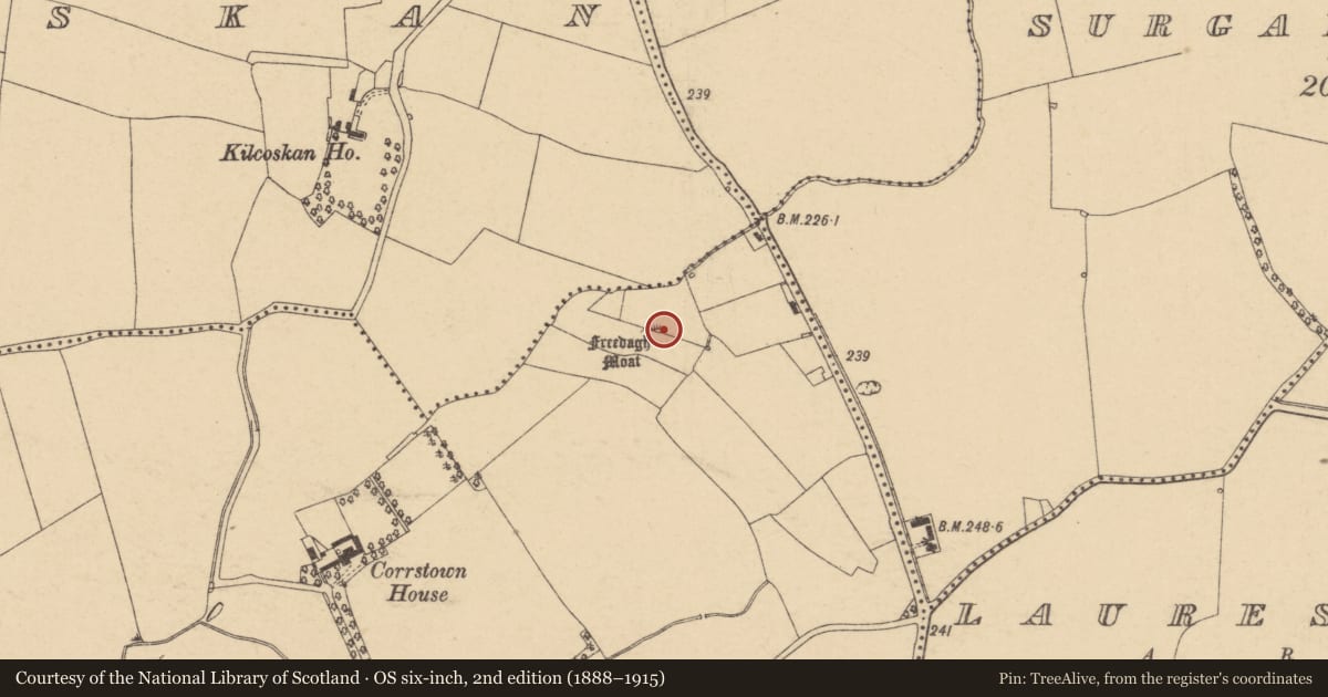 Ordnance Survey six-inch map, 2nd edition (1888–1915) covering the location of Castle - motte, Corrstown, County Dublin, with a pin at the register's coordinates