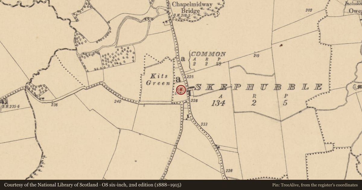 Ordnance Survey six-inch map, 2nd edition (1888–1915) covering the location of Ringfort - unclassified, Common, County Dublin, with a pin at the register's coordinates
