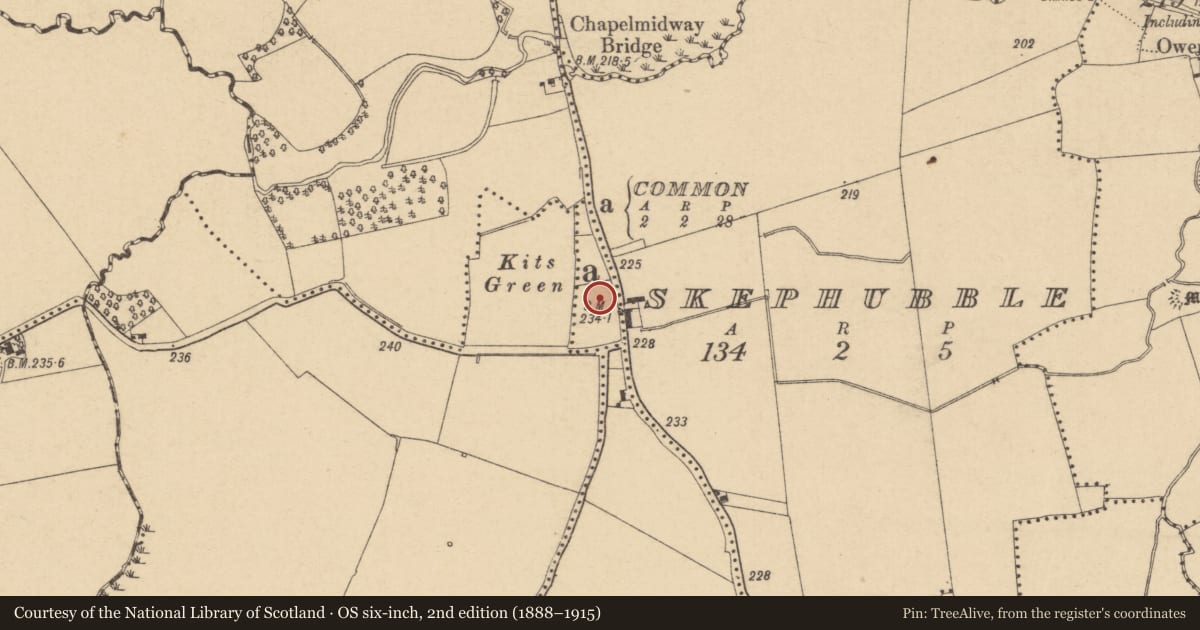 Ordnance Survey six-inch map, 2nd edition (1888–1915) covering the location of Graveyard, Common, County Dublin, with a pin at the register's coordinates