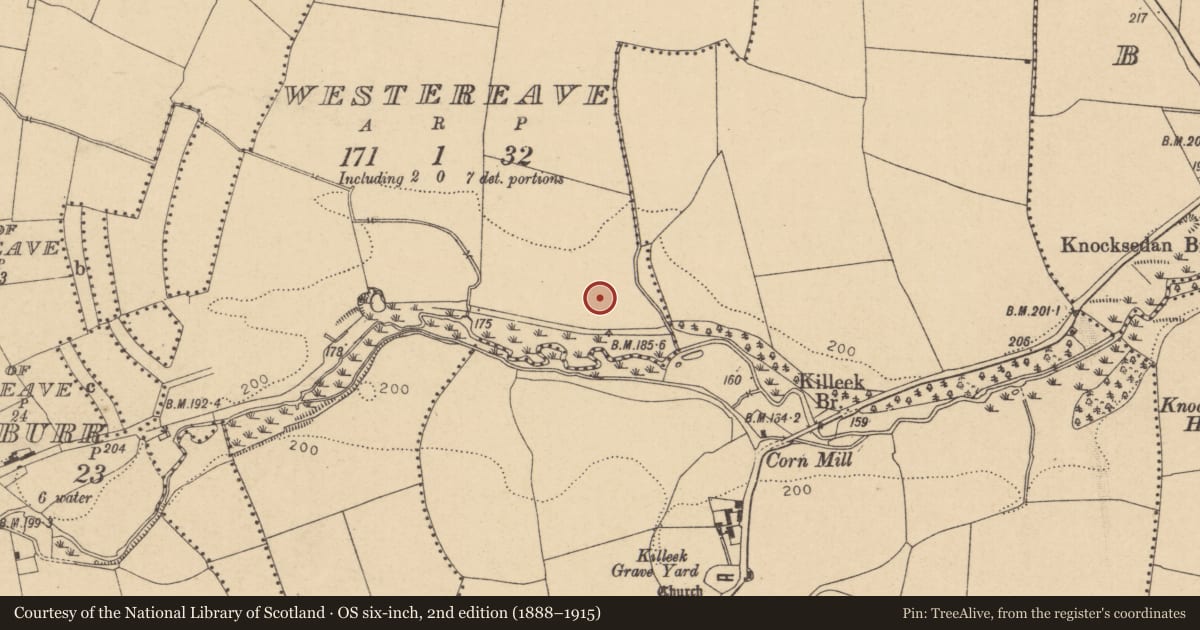 Ordnance Survey six-inch map, 2nd edition (1888–1915) covering the location of Enclosure, Westereave, County Dublin, with a pin at the register's coordinates