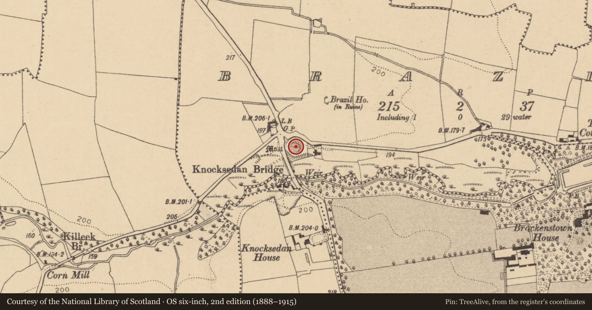 Ordnance Survey six-inch map, 2nd edition (1888–1915) covering the location of Castle - motte and bailey, Brazil, County Dublin, with a pin at the register's coordinates