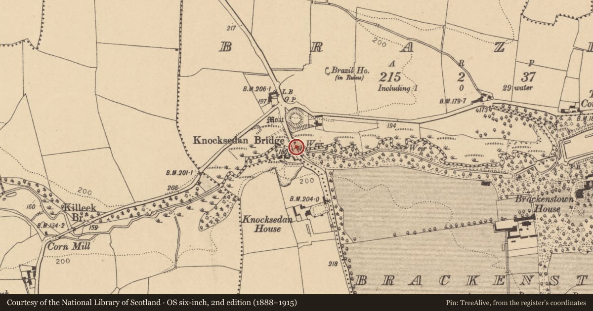 Ordnance Survey six-inch map, 2nd edition (1888–1915) covering the location of Bridge, Brackenstown, Brazil, County Dublin, with a pin at the register's coordinates