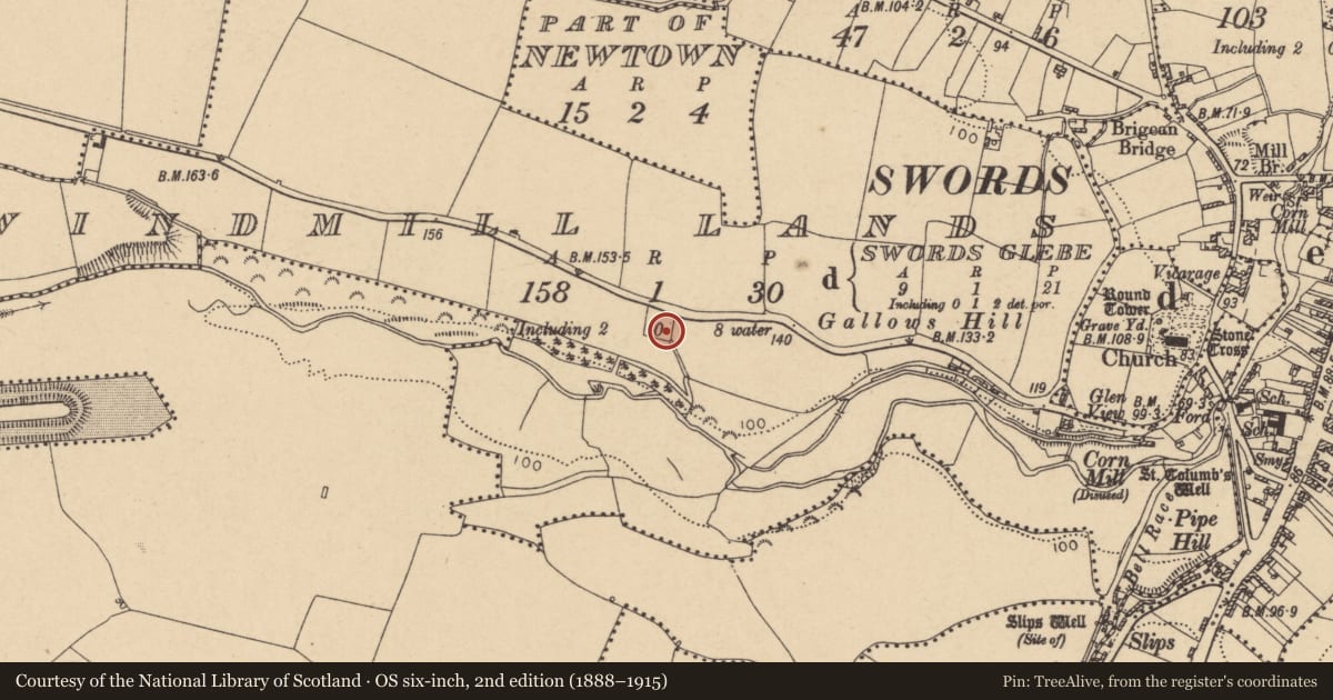 Ordnance Survey six-inch map, 2nd edition (1888–1915) covering the location of Windmill, Windmill Lands, County Dublin, with a pin at the register's coordinates