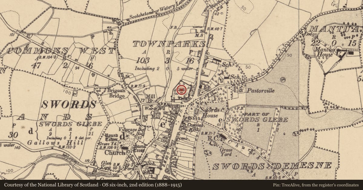 Ordnance Survey six-inch map, 2nd edition (1888–1915) covering the location of Castle - Anglo-Norman masonry castle, Townparks, County Dublin, with a pin at the register's coordinates