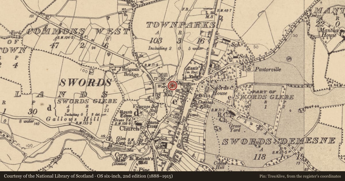 Ordnance Survey six-inch map, 2nd edition (1888–1915) covering the location of Mill - unclassified, Townparks, County Dublin, with a pin at the register's coordinates