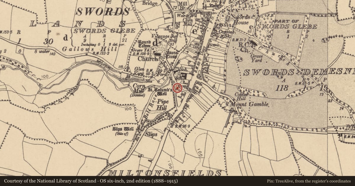 Ordnance Survey six-inch map, 2nd edition (1888–1915) covering the location of Ritual site - holy well, Townparks, County Dublin, with a pin at the register's coordinates