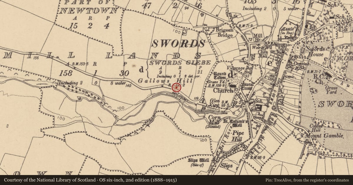 Ordnance Survey six-inch map, 2nd edition (1888–1915) covering the location of Ring-ditch, Windmill Lands, County Dublin, with a pin at the register's coordinates