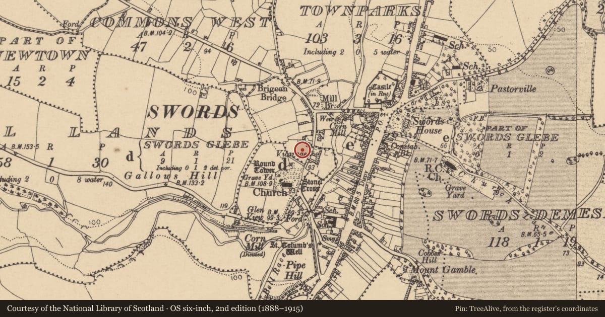 Ordnance Survey six-inch map, 2nd edition (1888–1915) covering the location of Souterrain, Townparks, County Dublin, with a pin at the register's coordinates