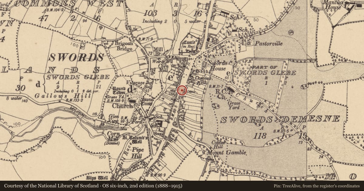 Ordnance Survey six-inch map, 2nd edition (1888–1915) covering the location of Historic town, County Dublin, with a pin at the register's coordinates