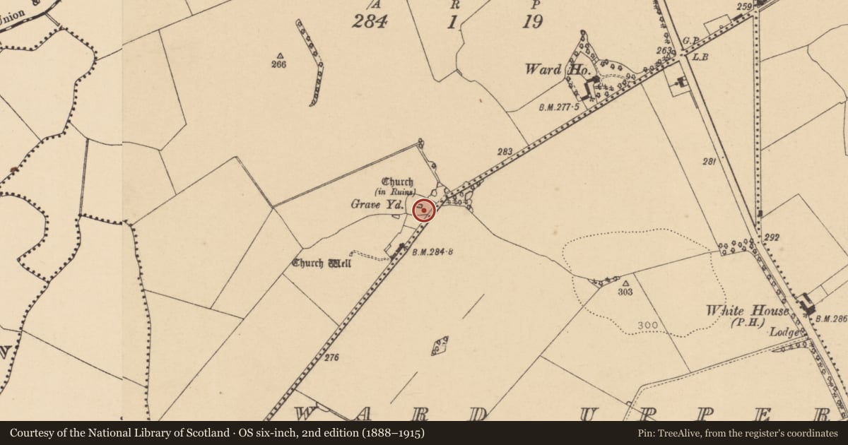 Ordnance Survey six-inch map, 2nd edition (1888–1915) covering the location of Graveyard, Ward Lower, County Dublin, with a pin at the register's coordinates