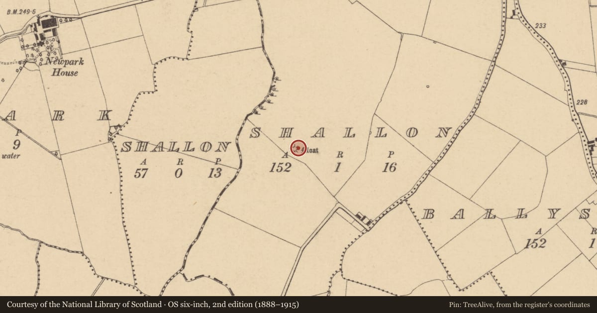 Ordnance Survey six-inch map, 2nd edition (1888–1915) covering the location of Mound, Shallon, County Dublin, with a pin at the register's coordinates