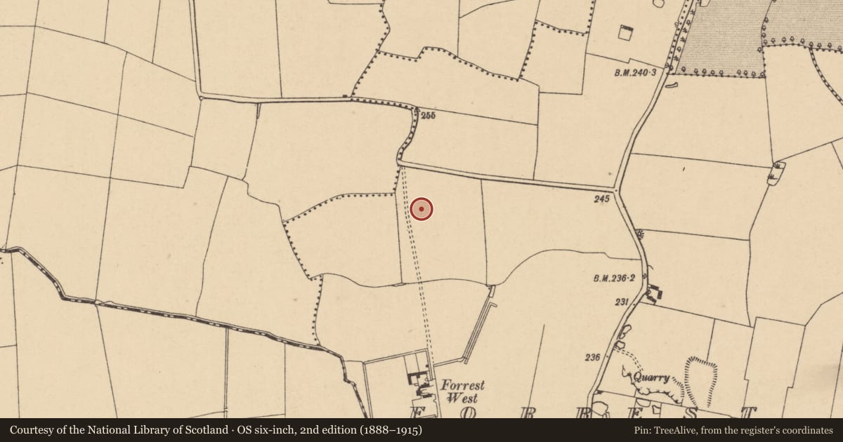 Ordnance Survey six-inch map, 2nd edition (1888–1915) covering the location of Burial ground, Forrest Great, County Dublin, with a pin at the register's coordinates
