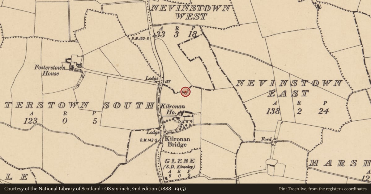 Ordnance Survey six-inch map, 2nd edition (1888–1915) covering the location of Ring-ditch, Nevinstown West, County Dublin, with a pin at the register's coordinates