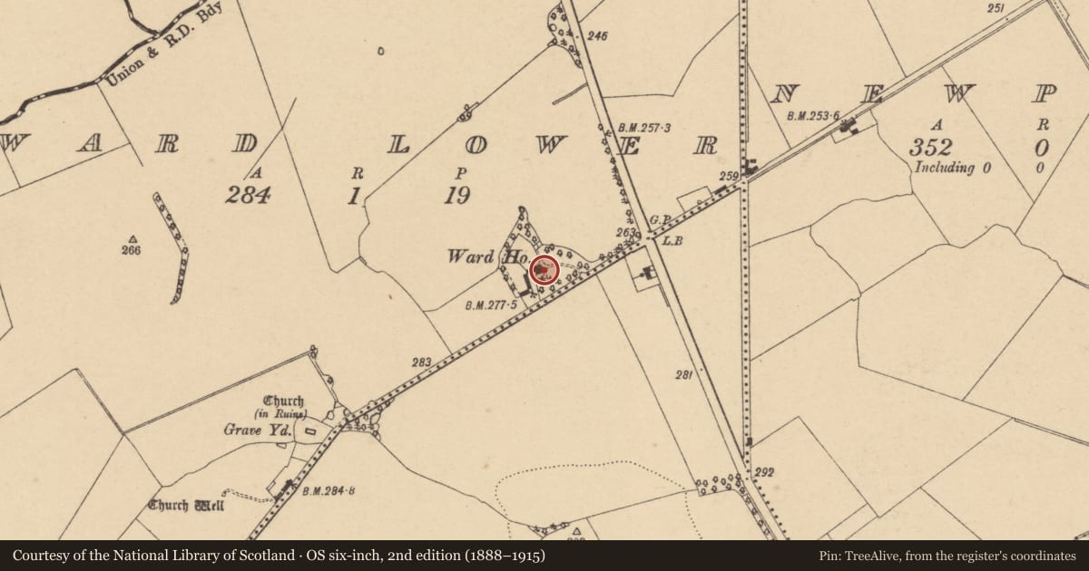 Ordnance Survey six-inch map, 2nd edition (1888–1915) covering the location of Castle - unclassified, Ward Upper, County Dublin, with a pin at the register's coordinates