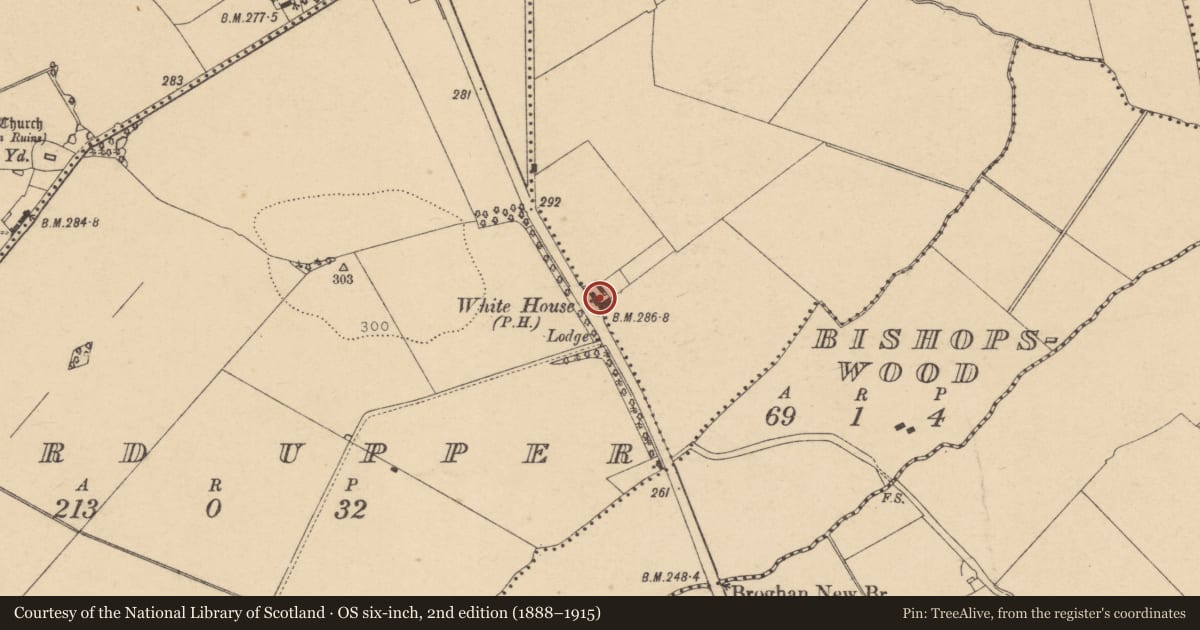 Ordnance Survey six-inch map, 2nd edition (1888–1915) covering the location of Inn, Newpark, County Dublin, with a pin at the register's coordinates