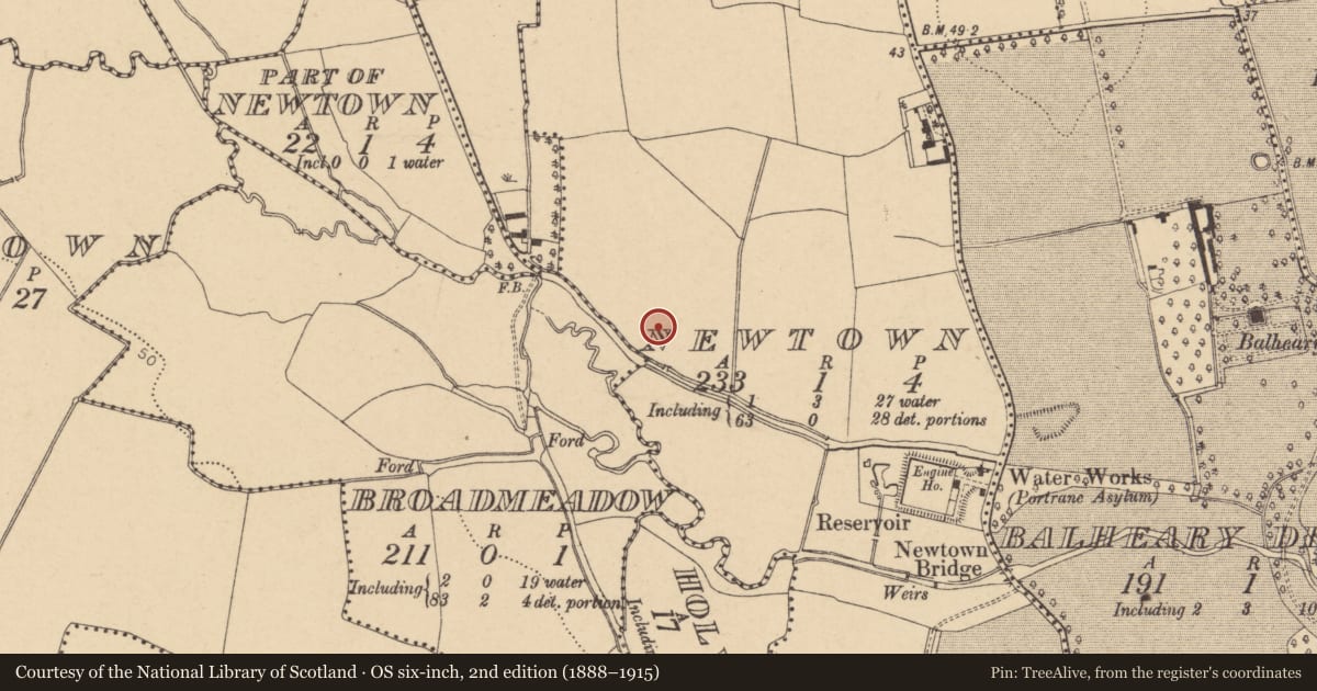 Ordnance Survey six-inch map, 2nd edition (1888–1915) covering the location of Ringfort - unclassified, Newtown, County Dublin, with a pin at the register's coordinates