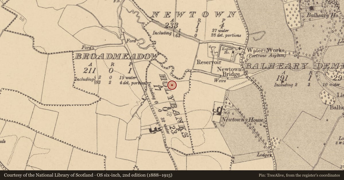 Ordnance Survey six-inch map, 2nd edition (1888–1915) covering the location of Ring-ditch, Holybanks, County Dublin, with a pin at the register's coordinates