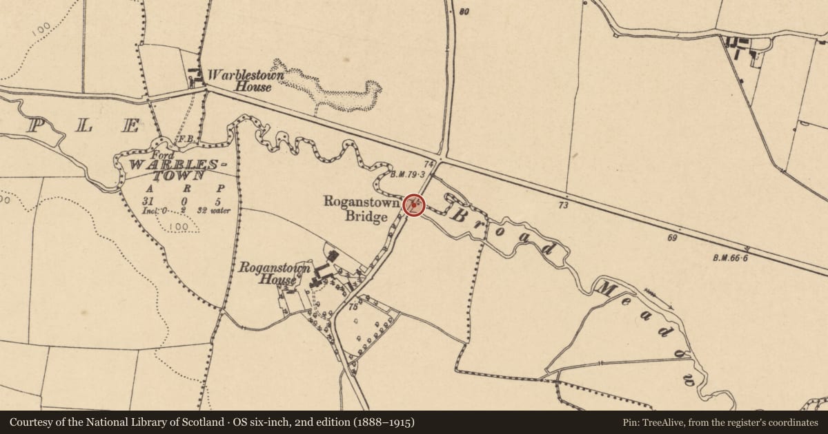Ordnance Survey six-inch map, 2nd edition (1888–1915) covering the location of Bridge, Roganstown, Skidoo, County Dublin, with a pin at the register's coordinates