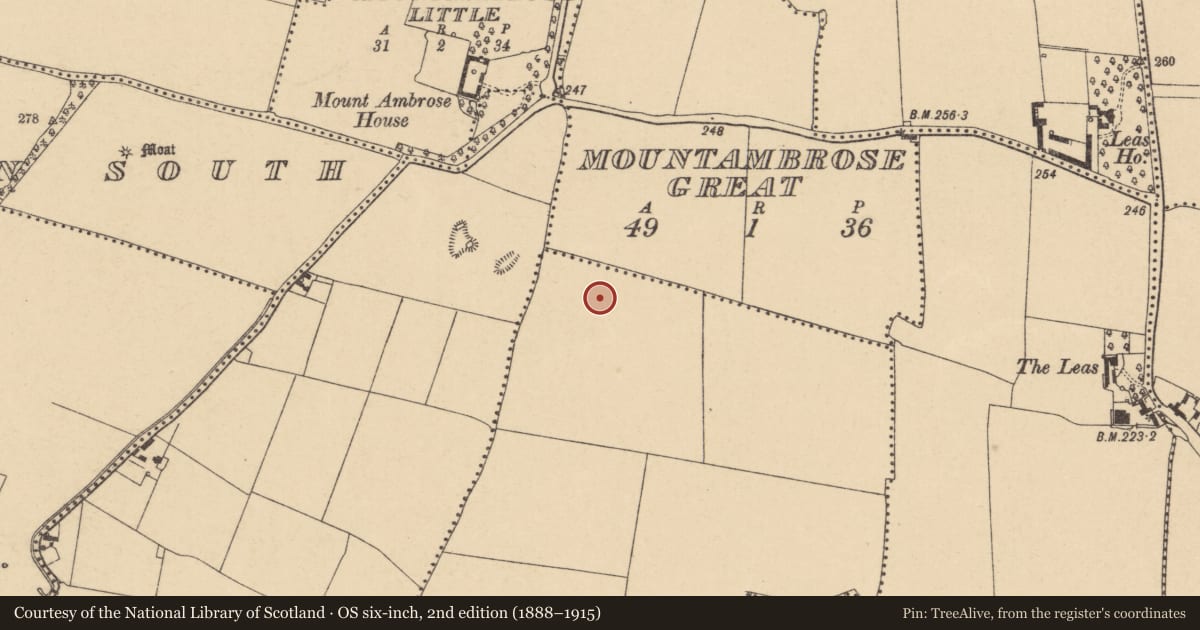 Ordnance Survey six-inch map, 2nd edition (1888–1915) covering the location of Burial ground, Westereave, County Dublin, with a pin at the register's coordinates