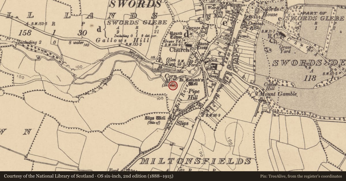 Ordnance Survey six-inch map, 2nd edition (1888–1915) covering the location of Burial, Windmill Lands, County Dublin, with a pin at the register's coordinates