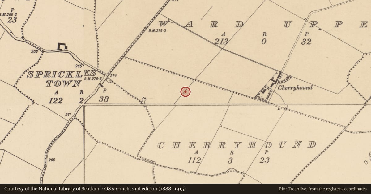 Ordnance Survey six-inch map, 2nd edition (1888–1915) covering the location of Industrial site, Cherryhound, County Dublin, with a pin at the register's coordinates