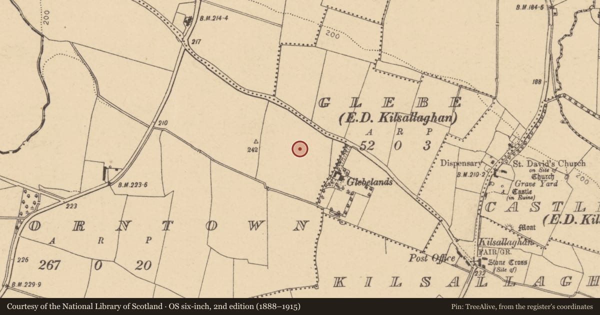 Ordnance Survey six-inch map, 2nd edition (1888–1915) covering the location of Enclosure, Thorntown, County Dublin, with a pin at the register's coordinates