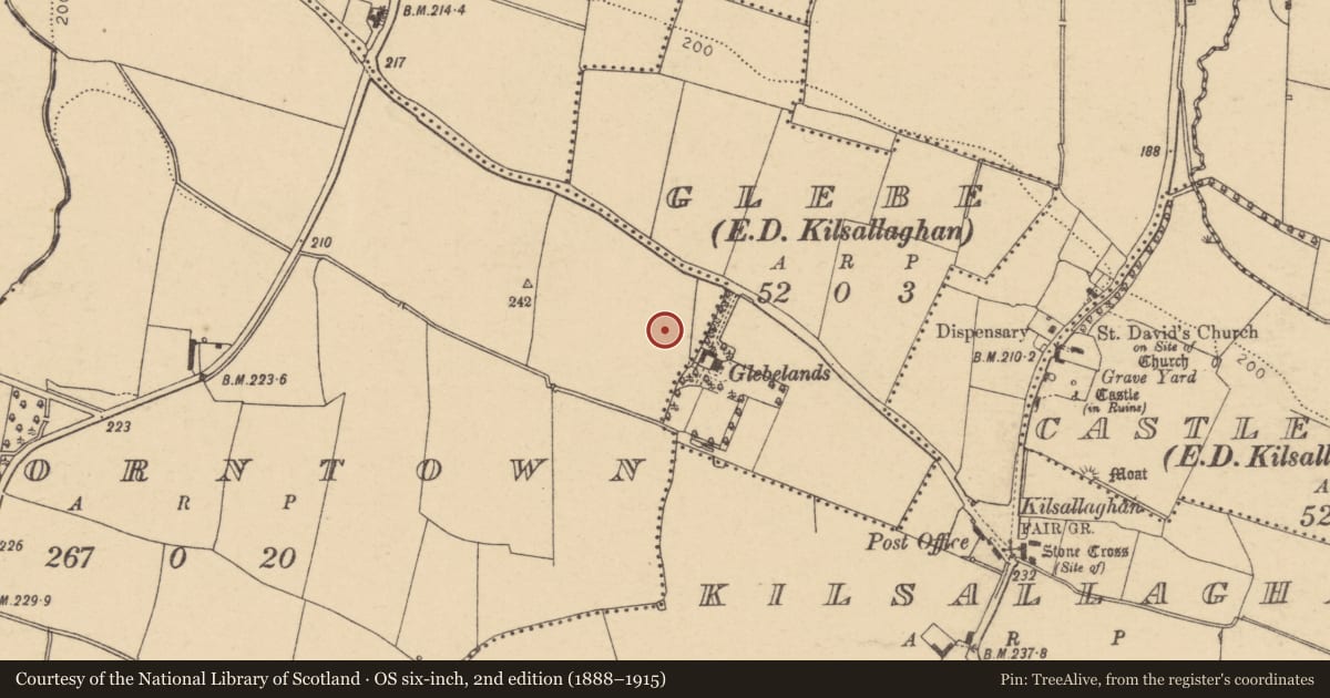 Ordnance Survey six-inch map, 2nd edition (1888–1915) covering the location of Ring-ditch, Thorntown, County Dublin, with a pin at the register's coordinates