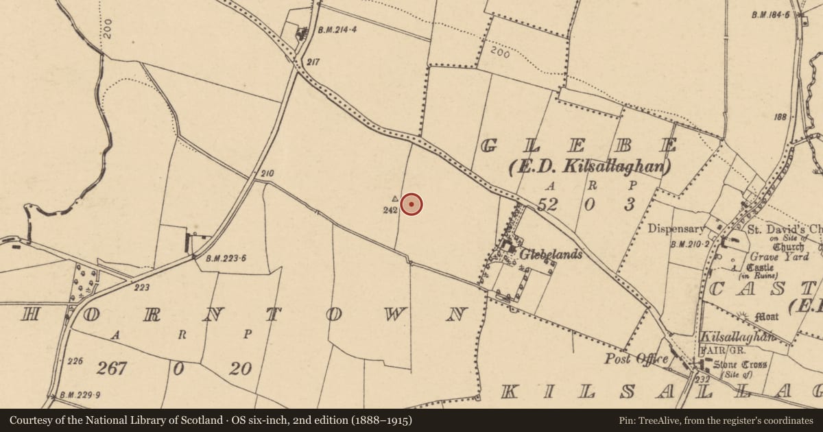 Ordnance Survey six-inch map, 2nd edition (1888–1915) covering the location of Enclosure, Thorntown, County Dublin, with a pin at the register's coordinates