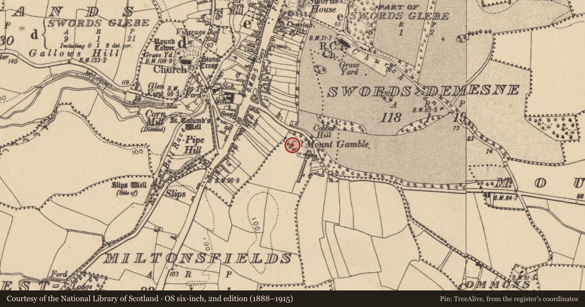 Ordnance Survey six-inch map, 2nd edition (1888–1915) covering the location of Burial ground, Townparks, County Dublin, with a pin at the register's coordinates