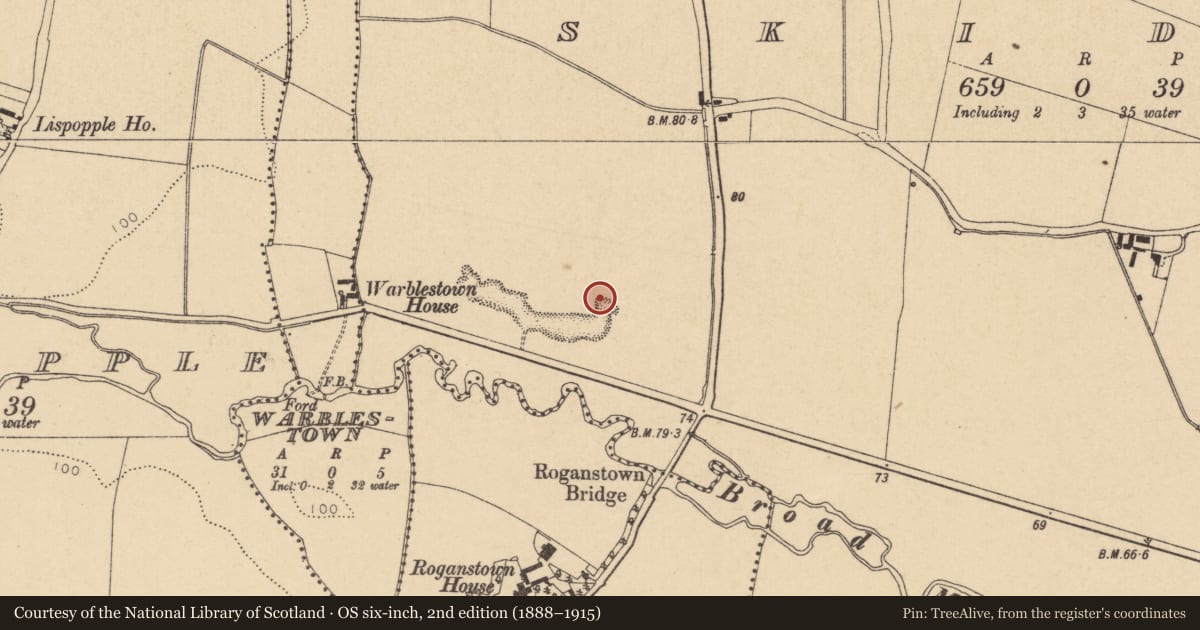 Ordnance Survey six-inch map, 2nd edition (1888–1915) covering the location of Ring-ditch, Skidoo, County Dublin, with a pin at the register's coordinates