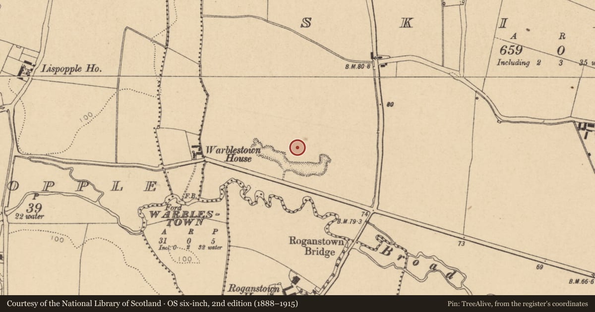 Ordnance Survey six-inch map, 2nd edition (1888–1915) covering the location of Ring-ditch, Skidoo, County Dublin, with a pin at the register's coordinates