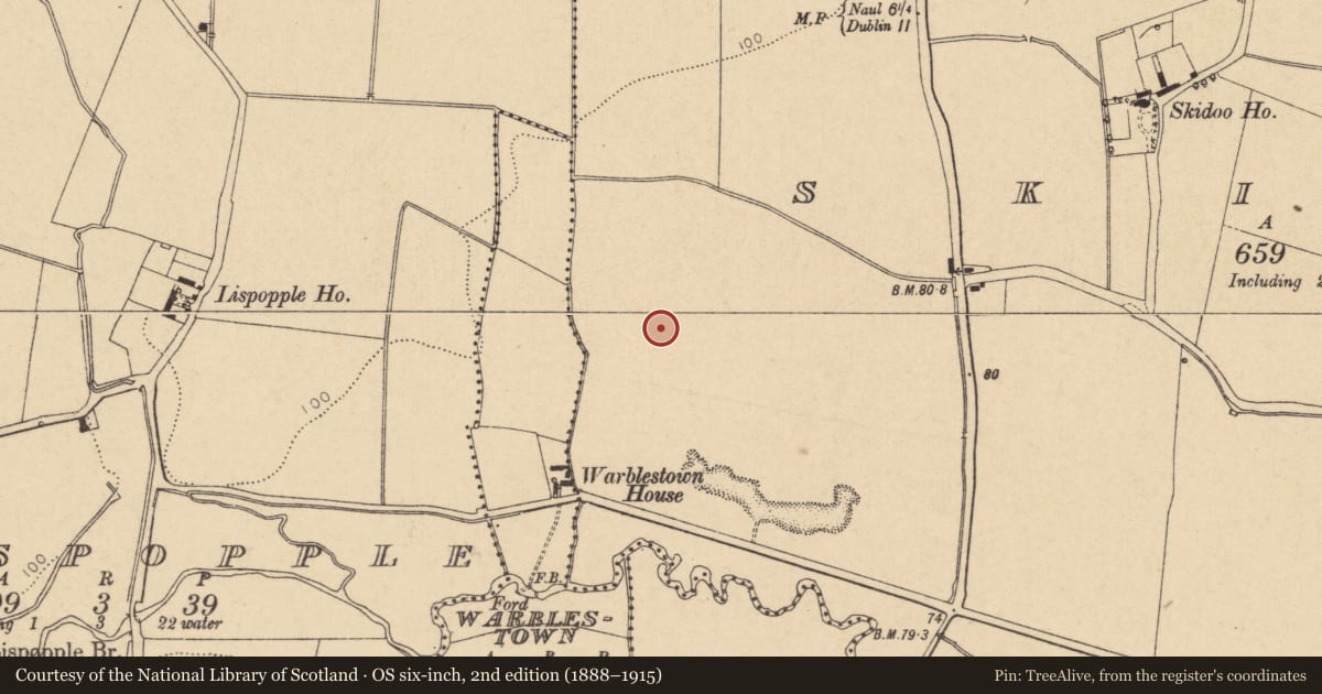Ordnance Survey six-inch map, 2nd edition (1888–1915) covering the location of Ring-ditch, Skidoo, County Dublin, with a pin at the register's coordinates