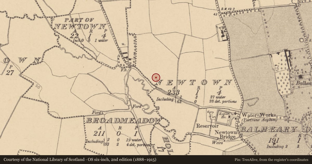 Ordnance Survey six-inch map, 2nd edition (1888–1915) covering the location of Field system, Newtown, County Dublin, with a pin at the register's coordinates