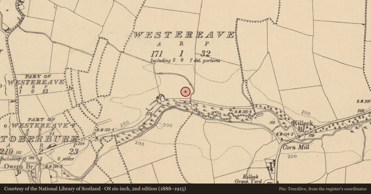 Ordnance Survey six-inch map, 2nd edition (1888–1915) covering the location of Ring-ditch, Westereave, County Dublin, with a pin at the register's coordinates