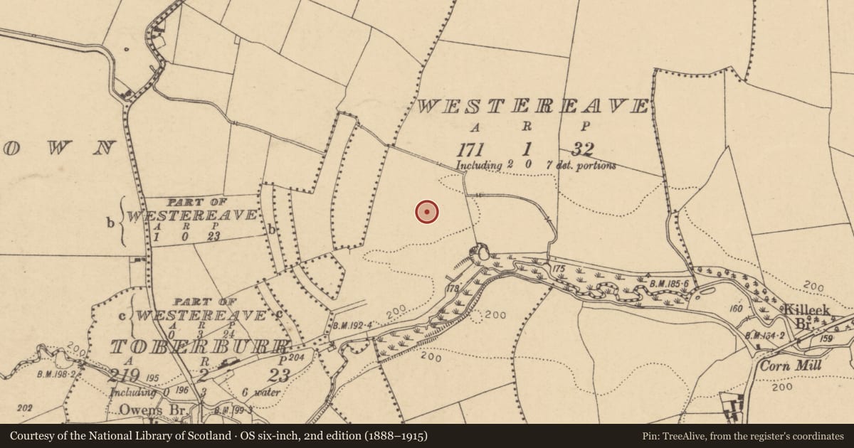 Ordnance Survey six-inch map, 2nd edition (1888–1915) covering the location of Ring-ditch, Westereave, County Dublin, with a pin at the register's coordinates