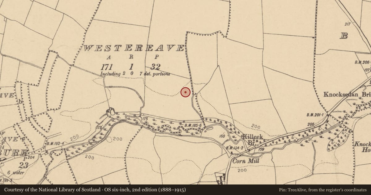 Ordnance Survey six-inch map, 2nd edition (1888–1915) covering the location of Enclosure, Westereave, County Dublin, with a pin at the register's coordinates