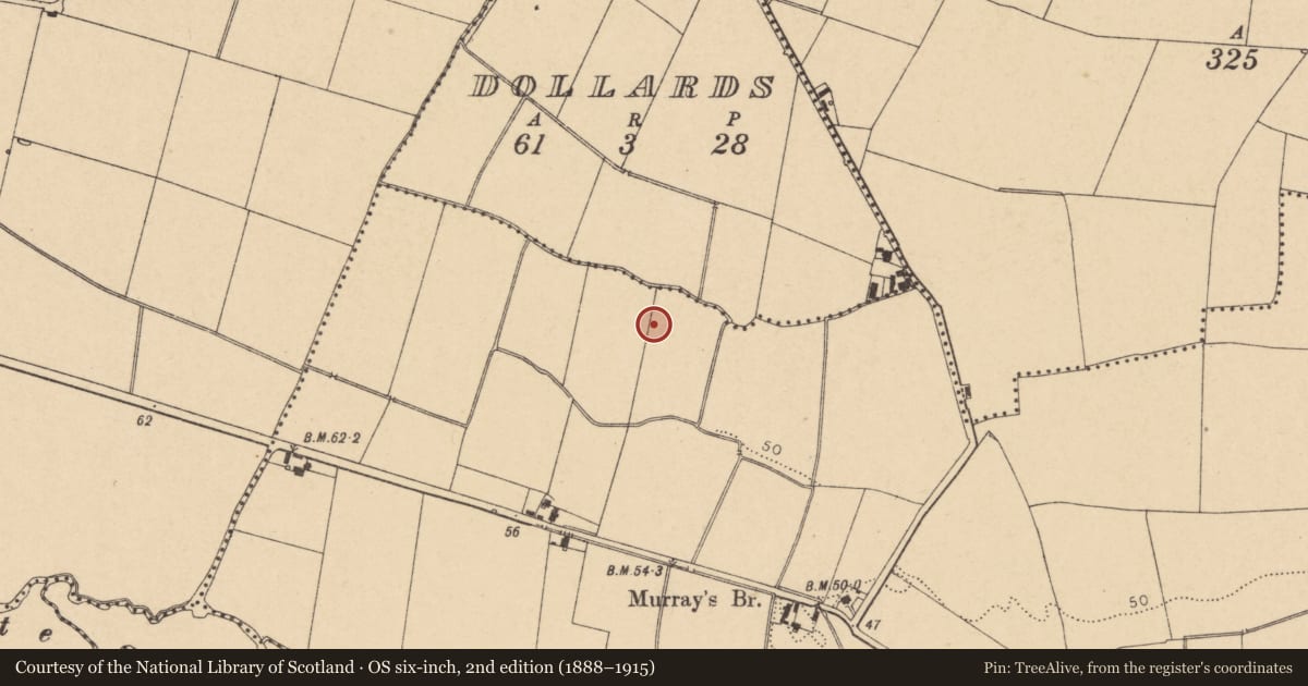 Ordnance Survey six-inch map, 2nd edition (1888–1915) covering the location of Enclosure, Balheary, County Dublin, with a pin at the register's coordinates