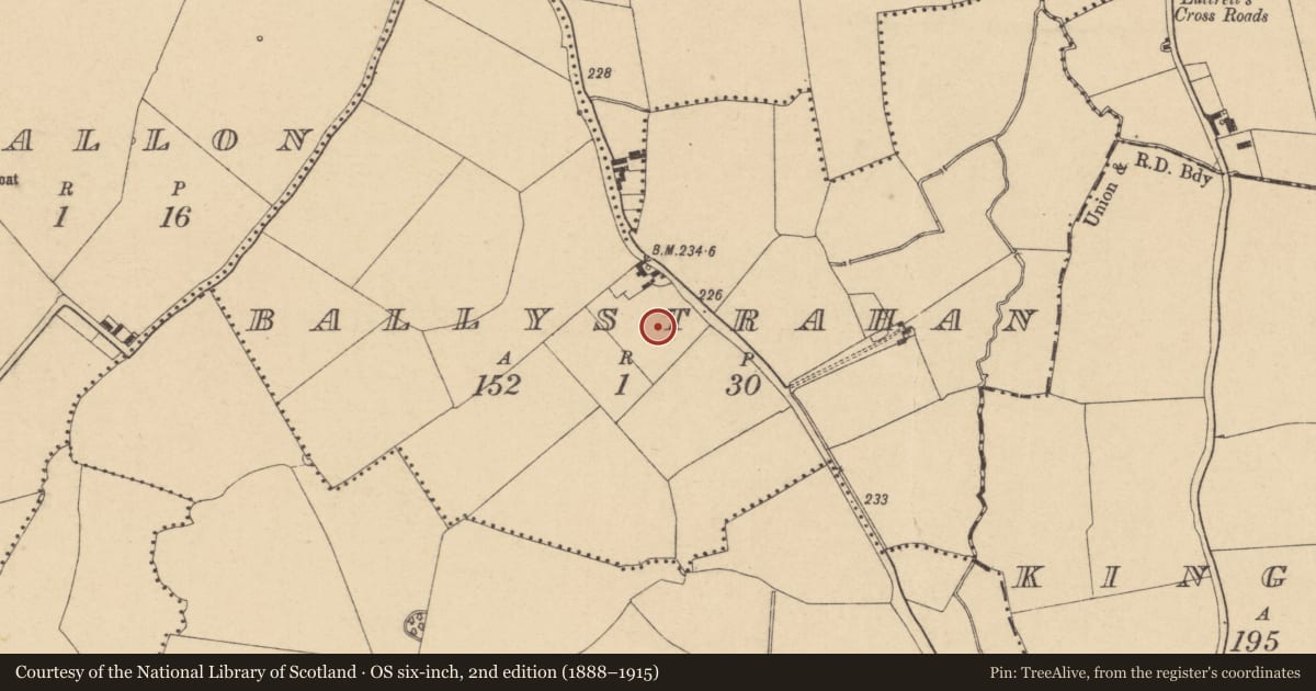 Ordnance Survey six-inch map, 2nd edition (1888–1915) covering the location of Enclosure, Ballystrahan, County Dublin, with a pin at the register's coordinates