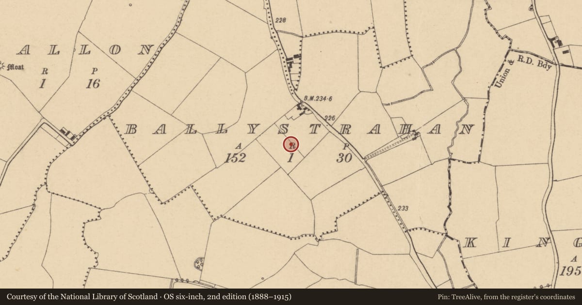 Ordnance Survey six-inch map, 2nd edition (1888–1915) covering the location of Field system, Ballystrahan, County Dublin, with a pin at the register's coordinates