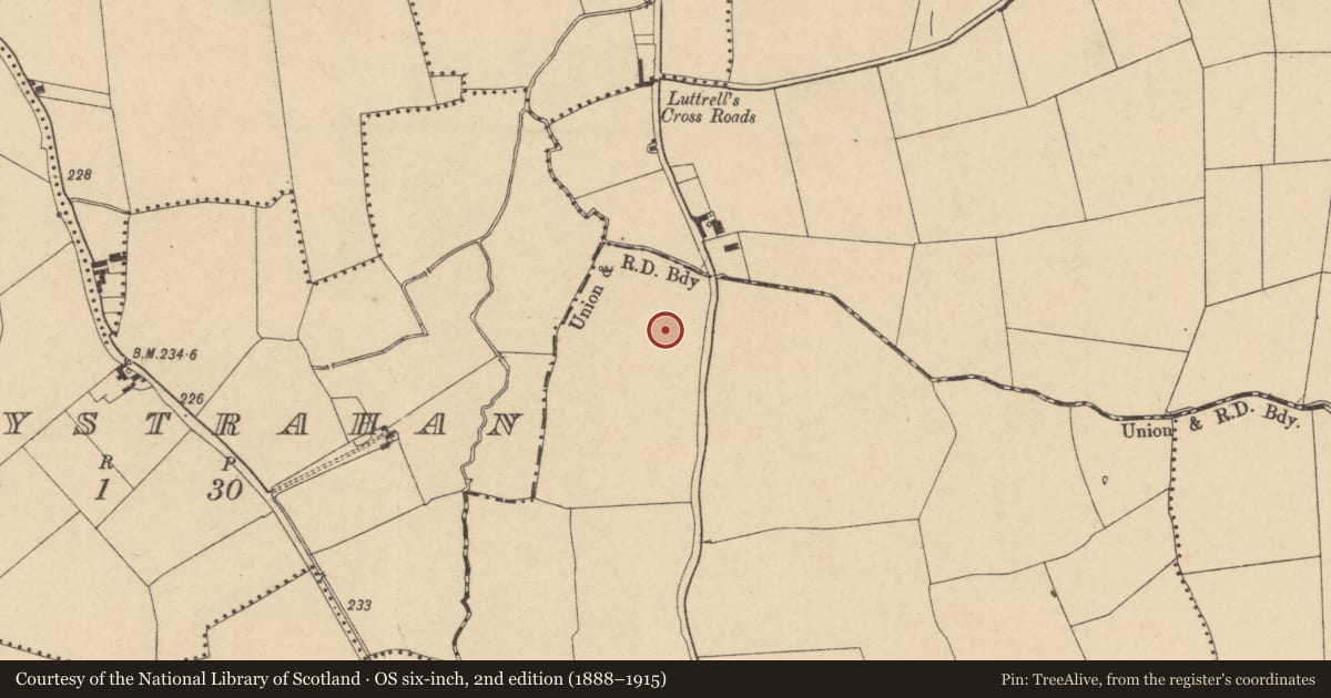 Ordnance Survey six-inch map, 2nd edition (1888–1915) covering the location of Ring-ditch, Kingstown, County Dublin, with a pin at the register's coordinates