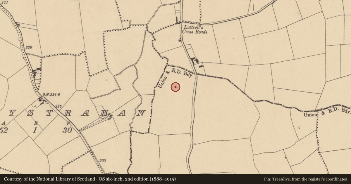 Ordnance Survey six-inch map, 2nd edition (1888–1915) covering the location of Field system, Kingstown, County Dublin, with a pin at the register's coordinates